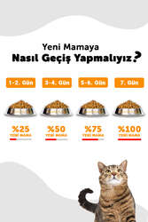 Croque Yavru Kuru Kedi Maması (Kitten) Tavuk Etli 1,5KG (30/12) - Thumbnail