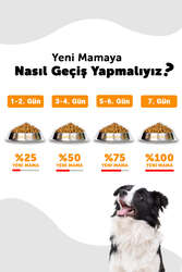 Croque Yavru Kuru Köpek Maması (Puppy) Kuzu Etli 100GR - Thumbnail