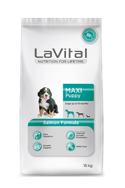 LaVital Büyük Irk Yavru Kuru Köpek Maması (Maxi Puppy) Somonlu 15 KG